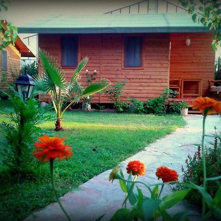 Sera Pansiyon Çıralı Zimmer foto