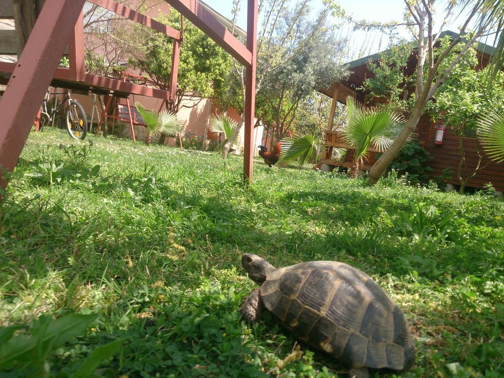 Sera Pansiyon Çıralı Exterior foto